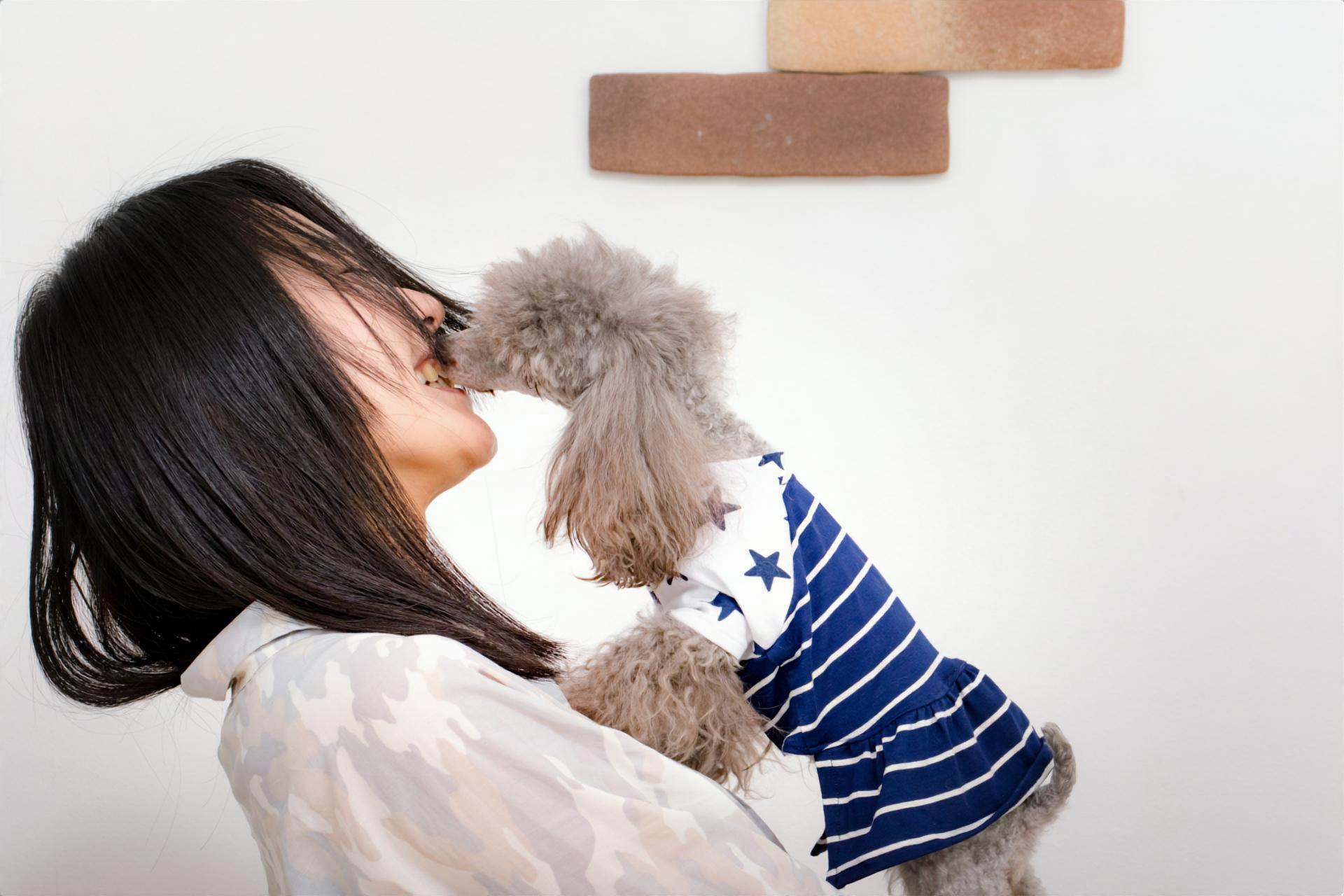 犬が舐めるのが しつこい と感じる時こそ知ってあげる犬の気持ち ふわもこトイプログ