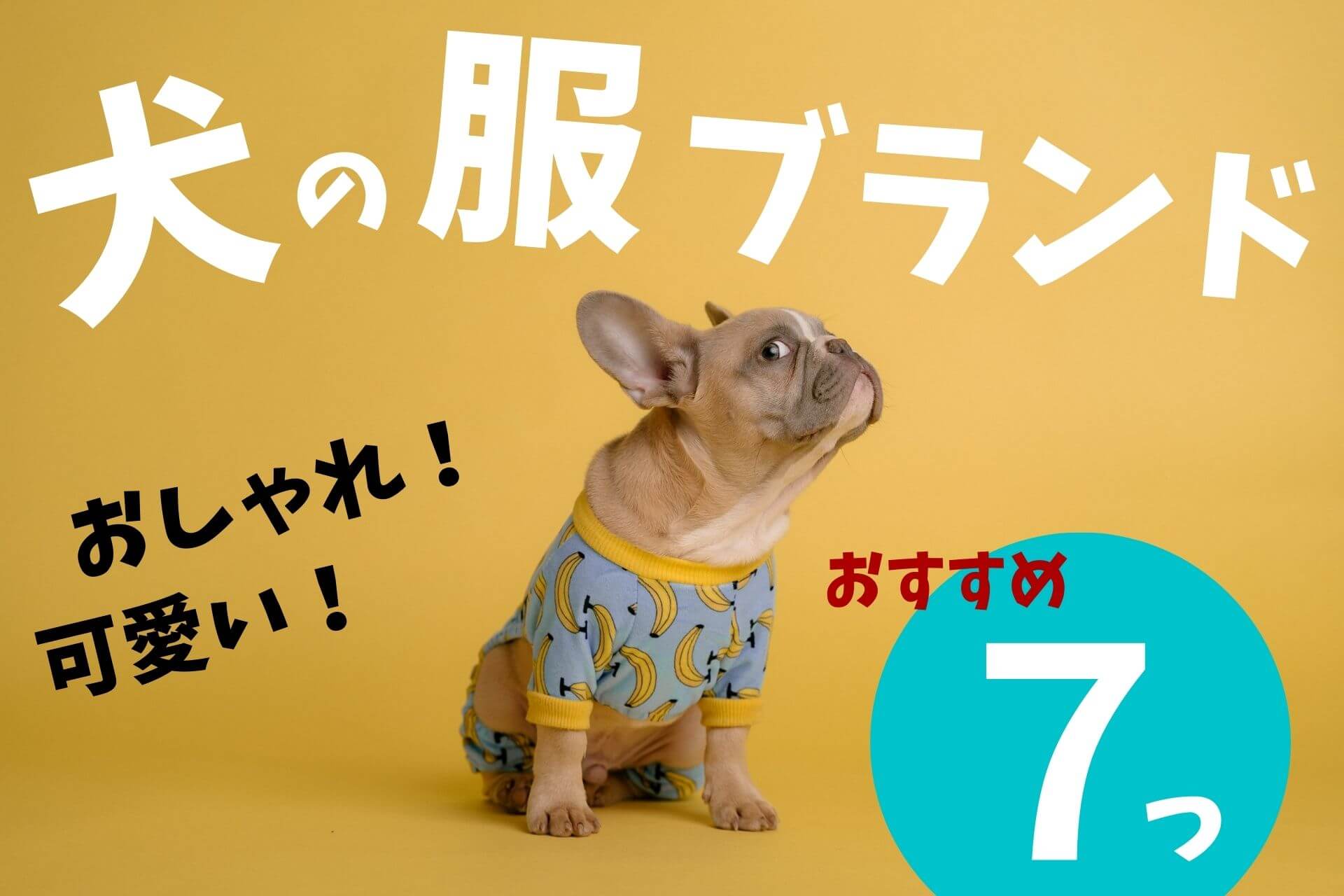 【犬の服】可愛い犬服ブランド７選！セレクトショップも紹介！