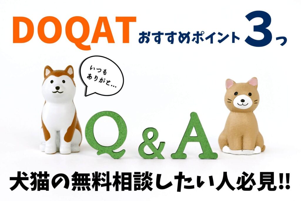 DOQAT（ドキャット）おすすめポイント３つ！犬猫の無料相談したい人必見