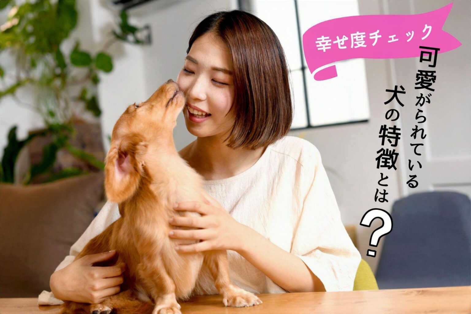 可愛がられている犬の特徴!愛情に満たされている犬の幸せ度チェック | ふわもこトイプログ